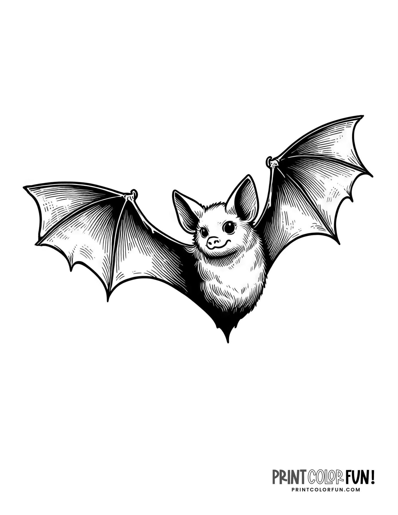 20 Bat Coloring Pages Crafts amp More For Halloween Learning Fun 