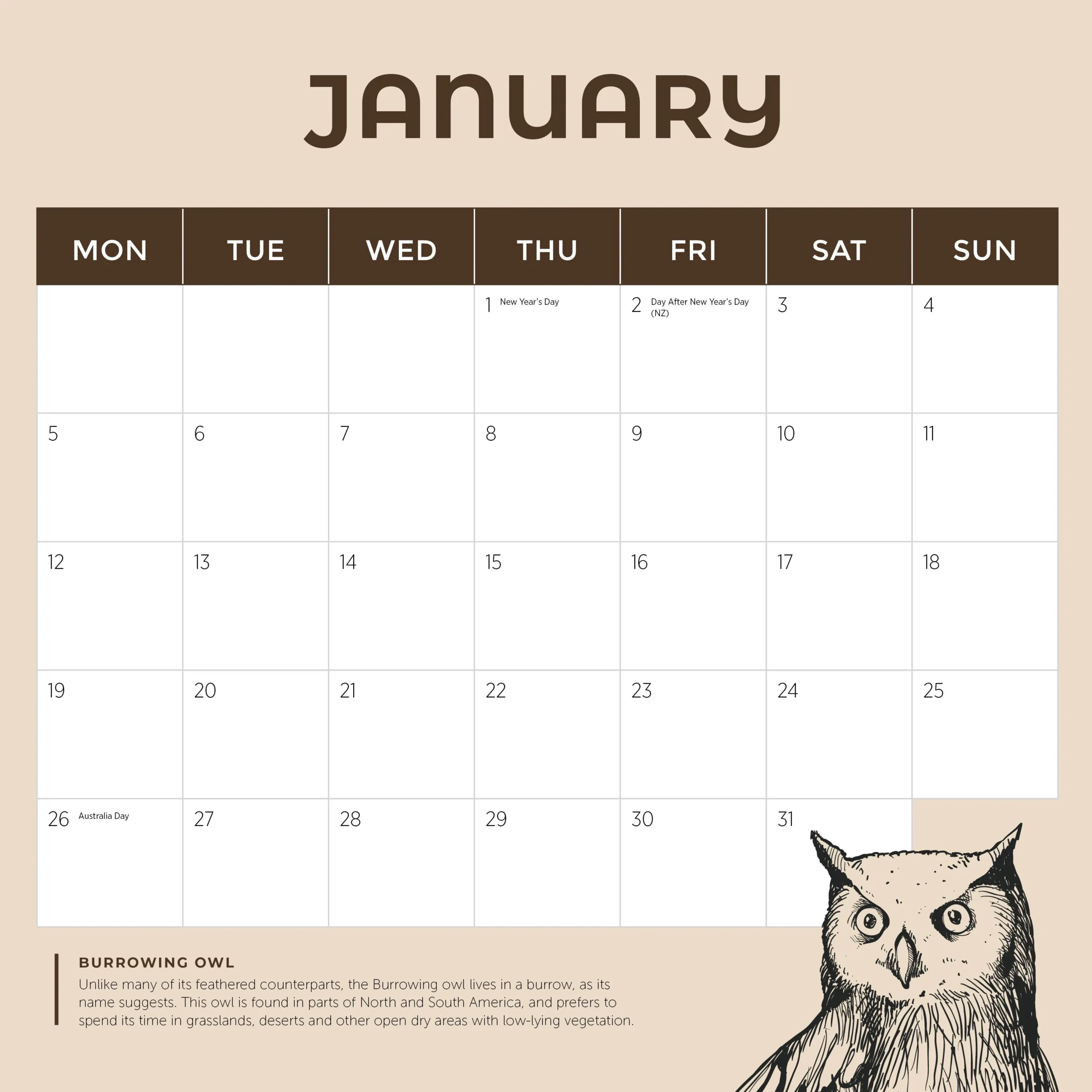 November 2026 Calendar Printable Owl