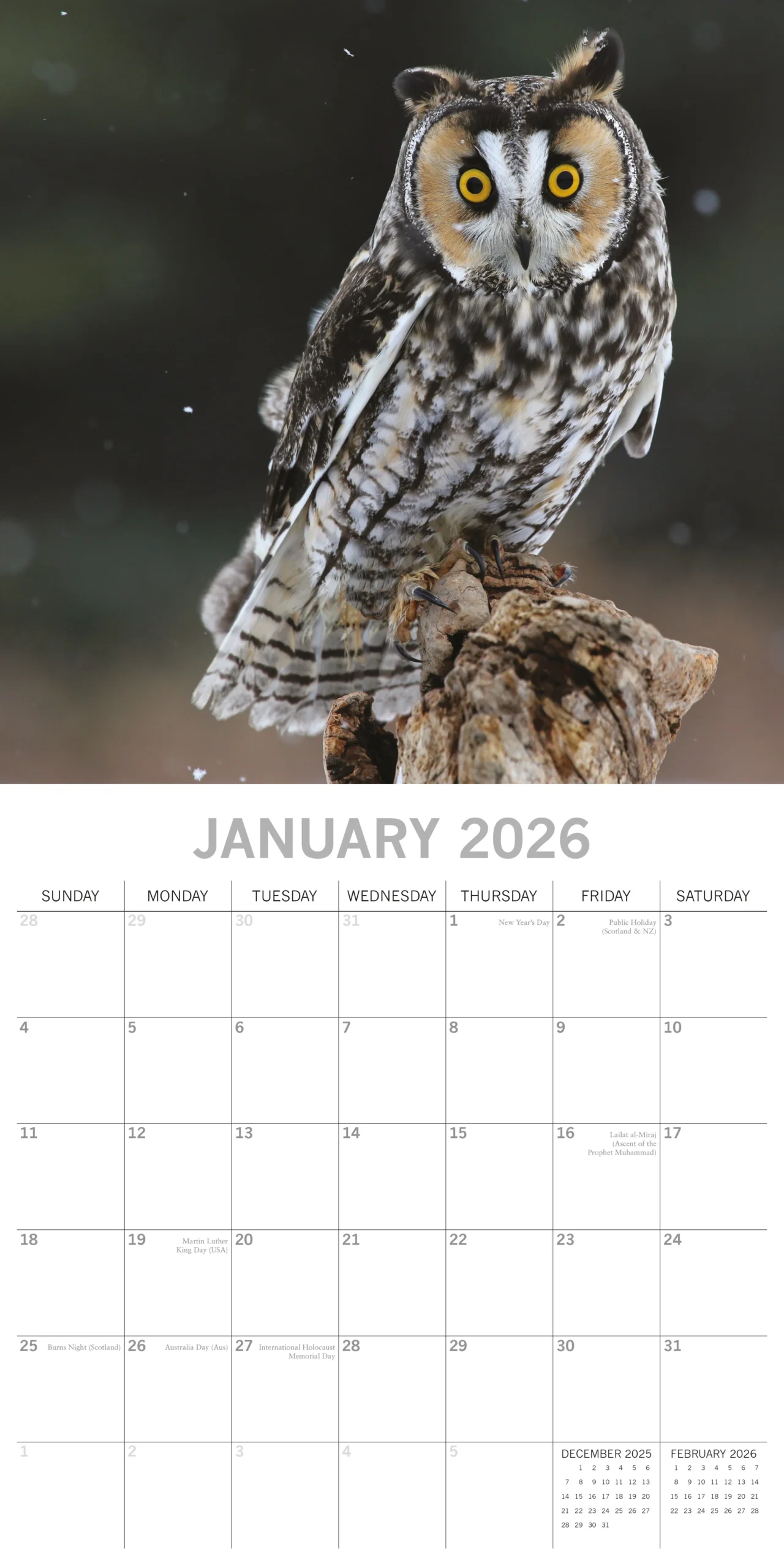 2026 Owls Square Wall Calendar
