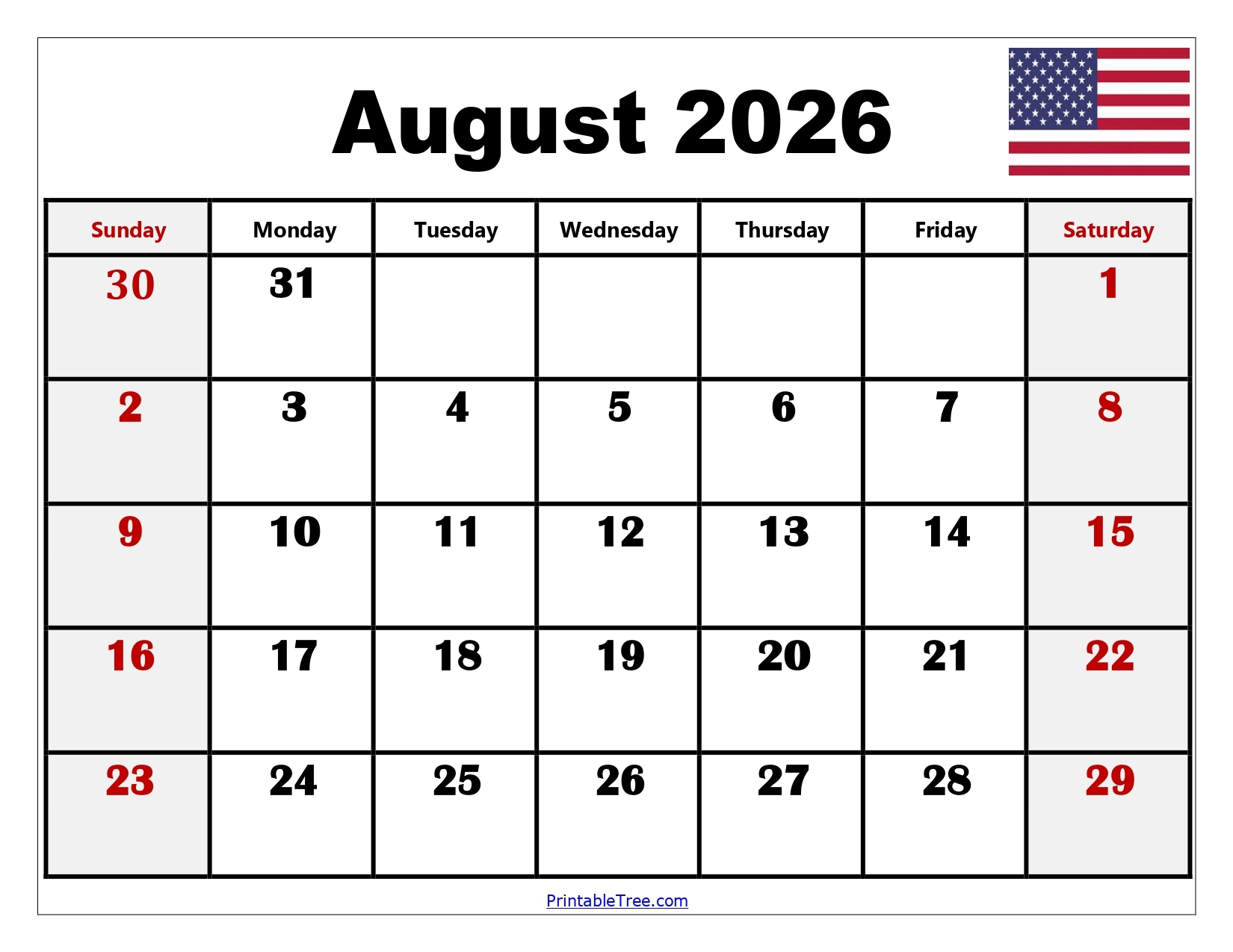 Blank Calendar August 2026 Printable