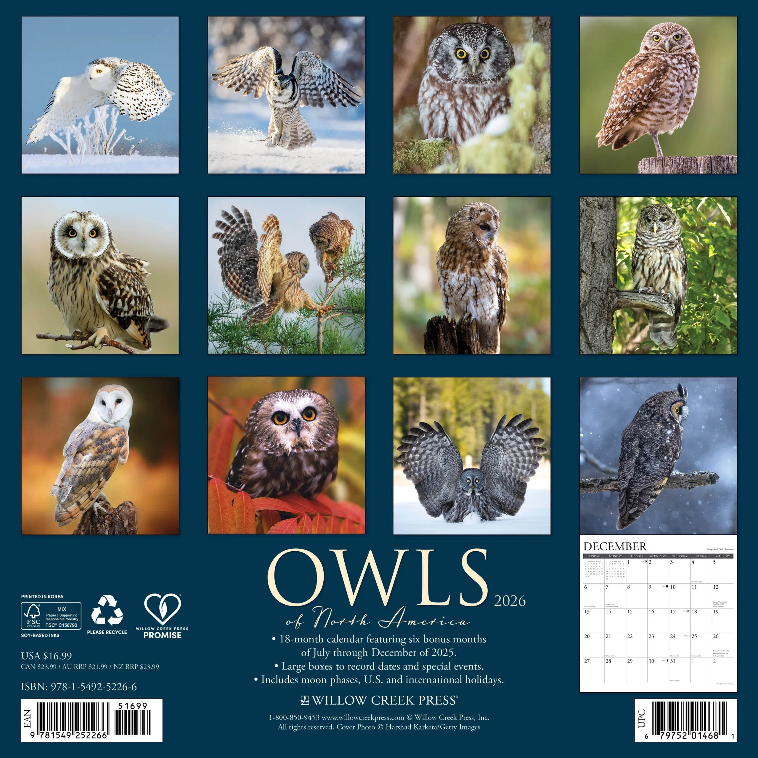 Buying Owls Calendar 2026 Simply Order Online