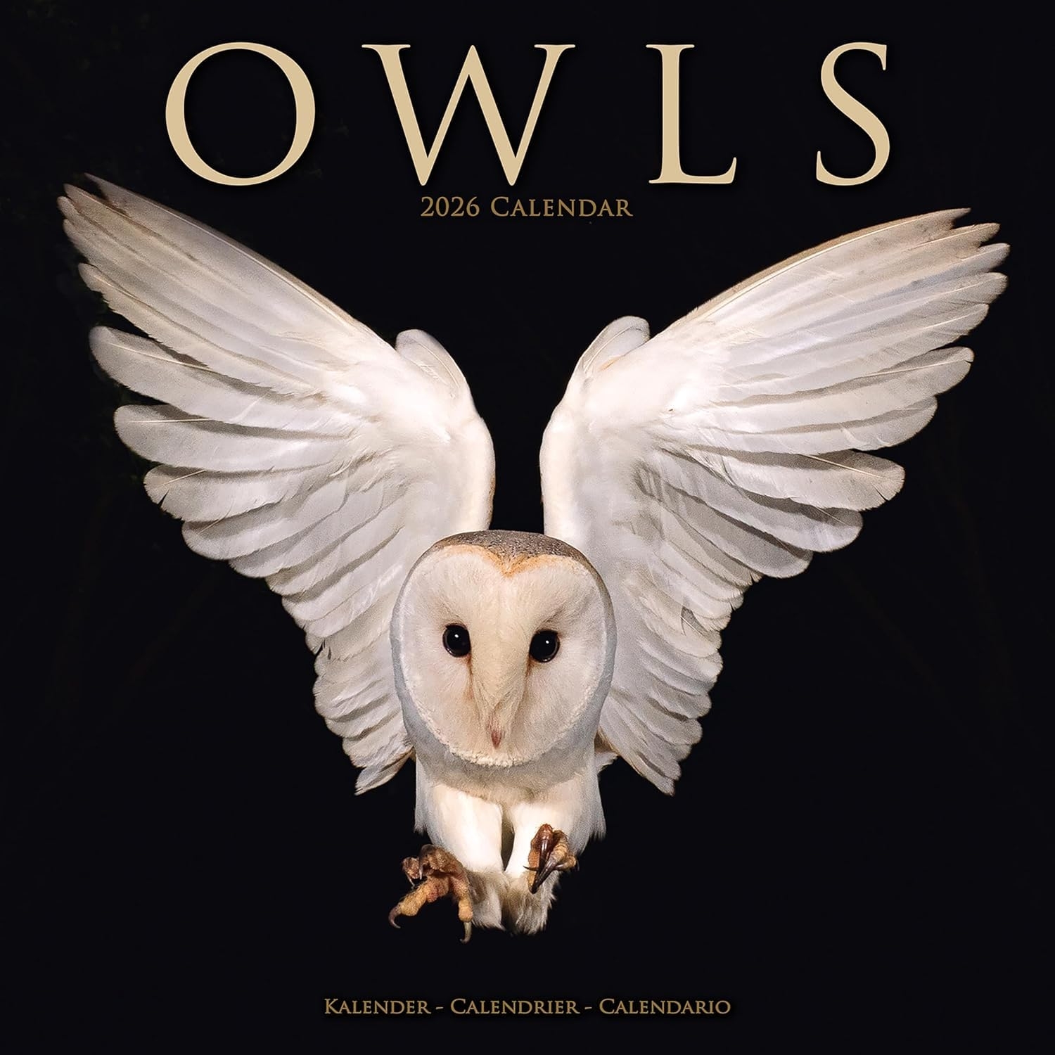 Owls Calendar 2026 16 Months September 2025 To December 2026 