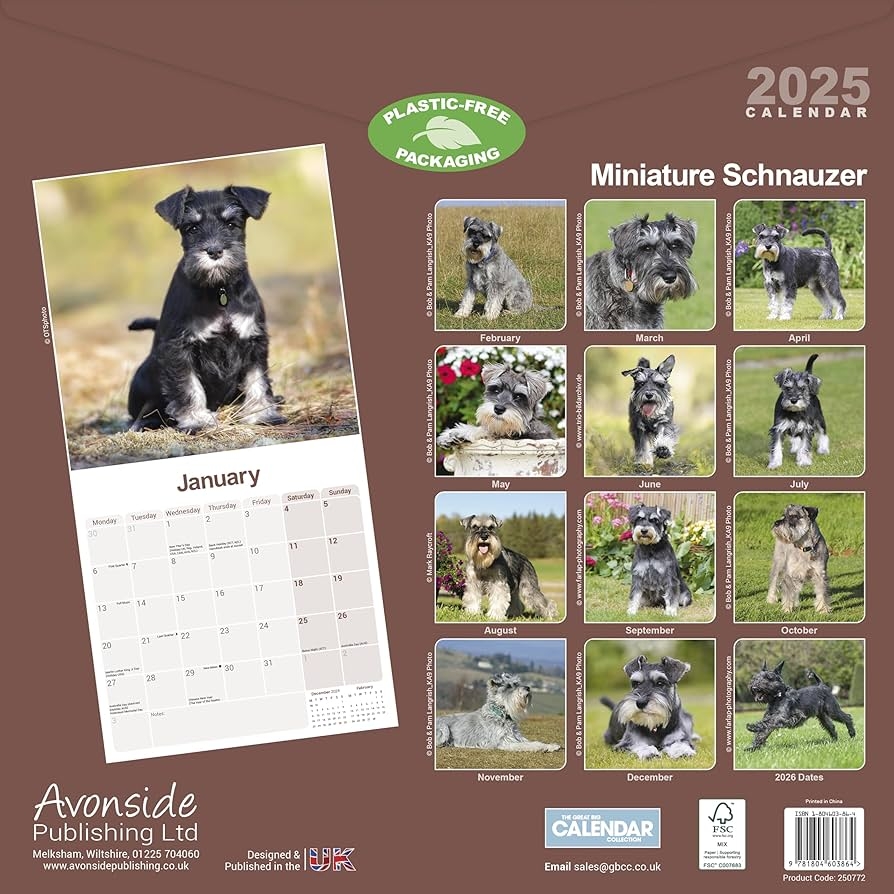 Schnauzer Miniature 2025 Square Wall Calendar Dog Breed Calendar 