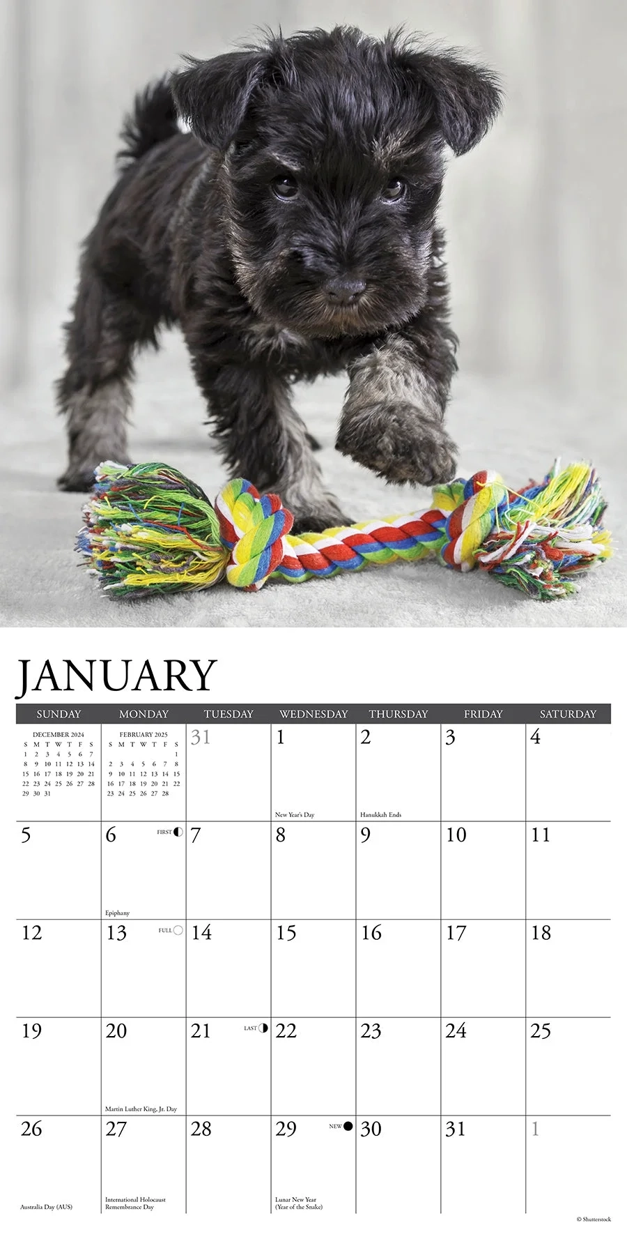 Printable December Christmas Schnauzer Calendar 2025