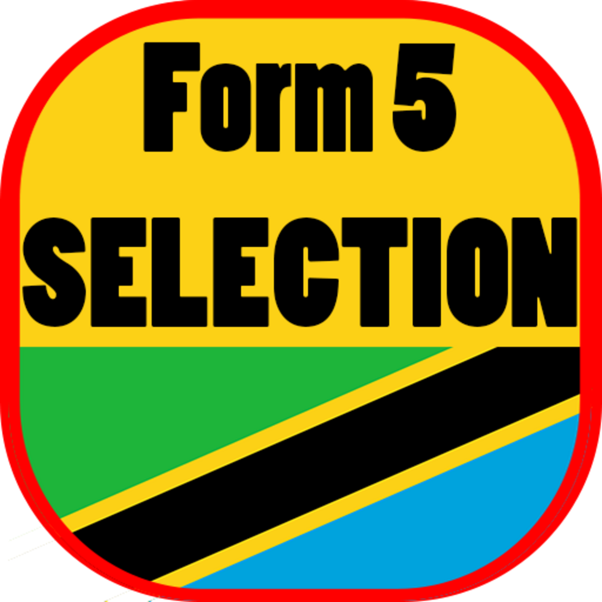 Form 5 Selection 2024