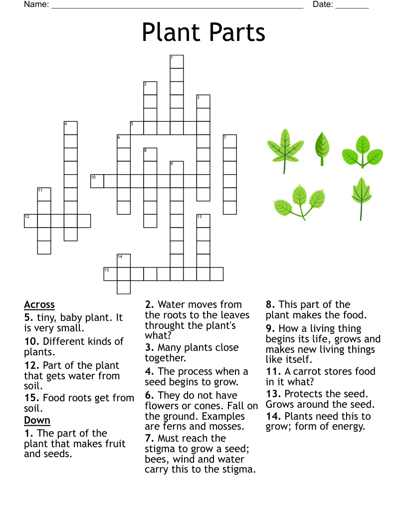 Underwater Plants Word Search WordMint