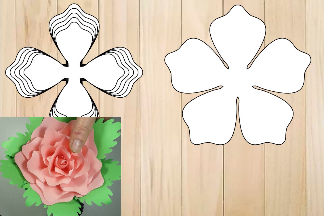 Paper Flower Template Bundle Rose Templates SVG By 