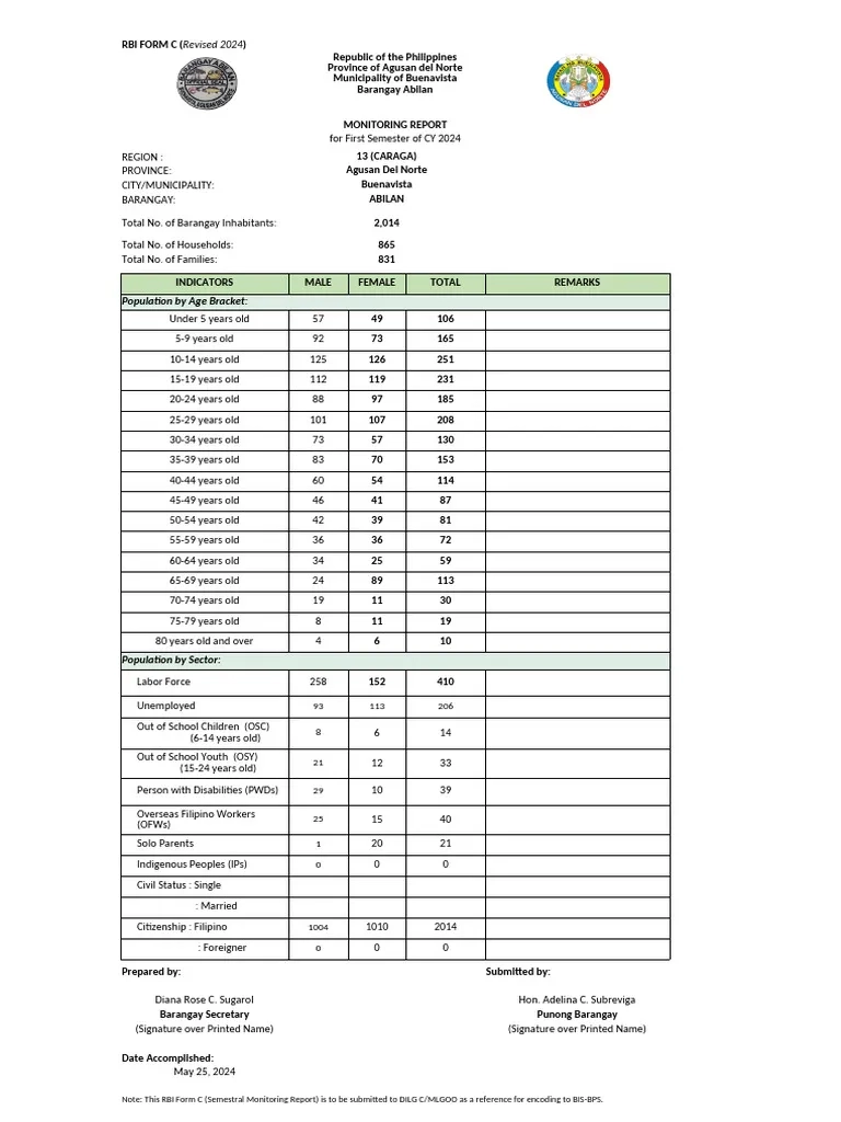 RBI FORM C Summary Of Report Revised Age Bracketing Revised 2024 