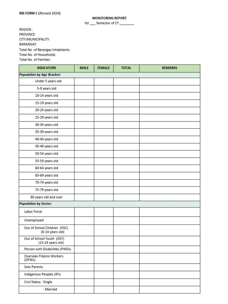 RBI FORM C Summary Of Report Revised Age Bracketing Revised 2024 