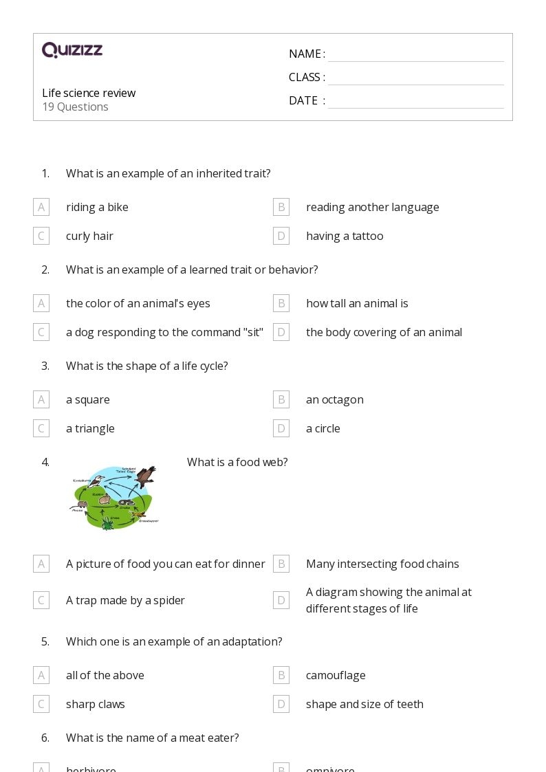 50 Science Worksheets For 3rd Class On Quizizz Free amp Printable