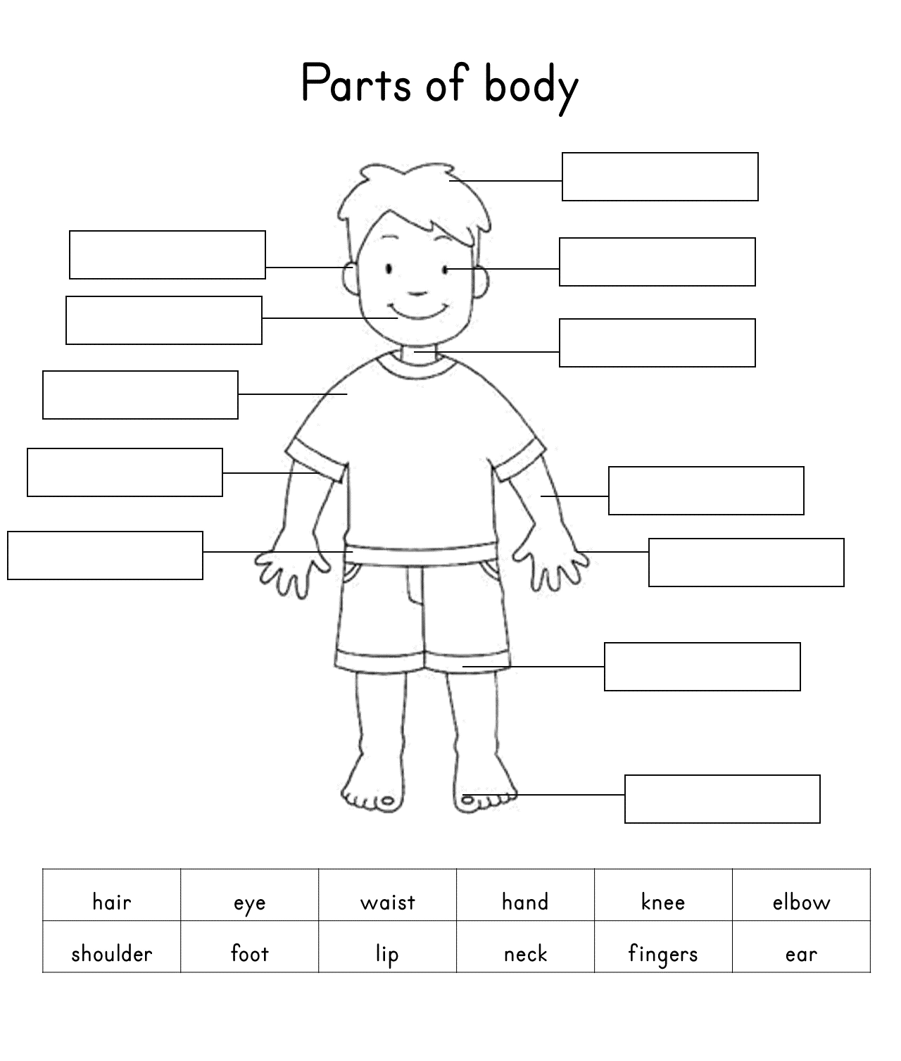 7 Body Parts Worksheets Free Printables Englishan
