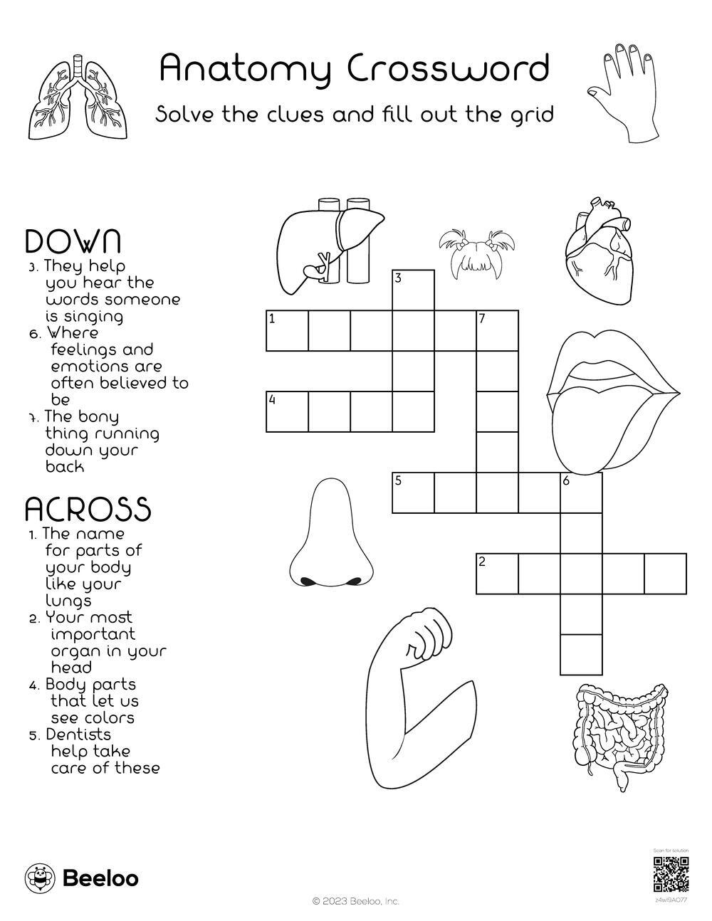 Anatomy Crossword Puzzles Printable