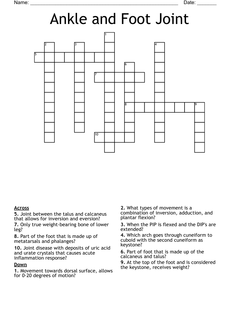 Ankle And Foot Joint Crossword WordMint