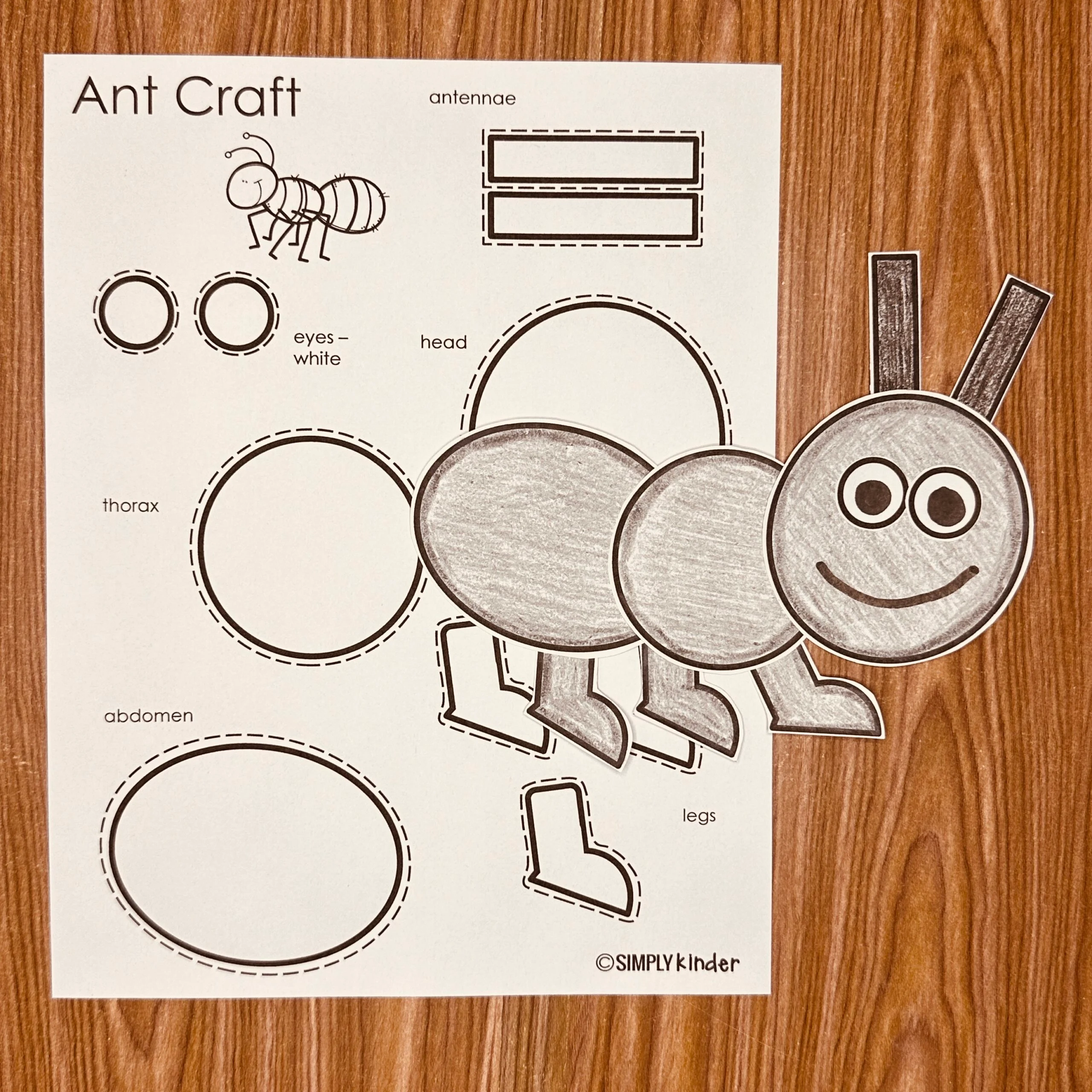 Ant Craft Simply Kinder Printable Membership