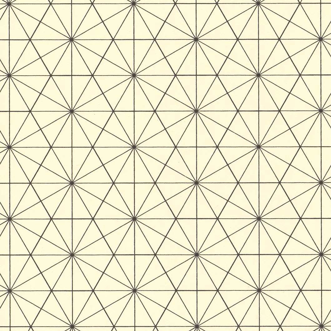 Regular Hexagon On Graph Paper