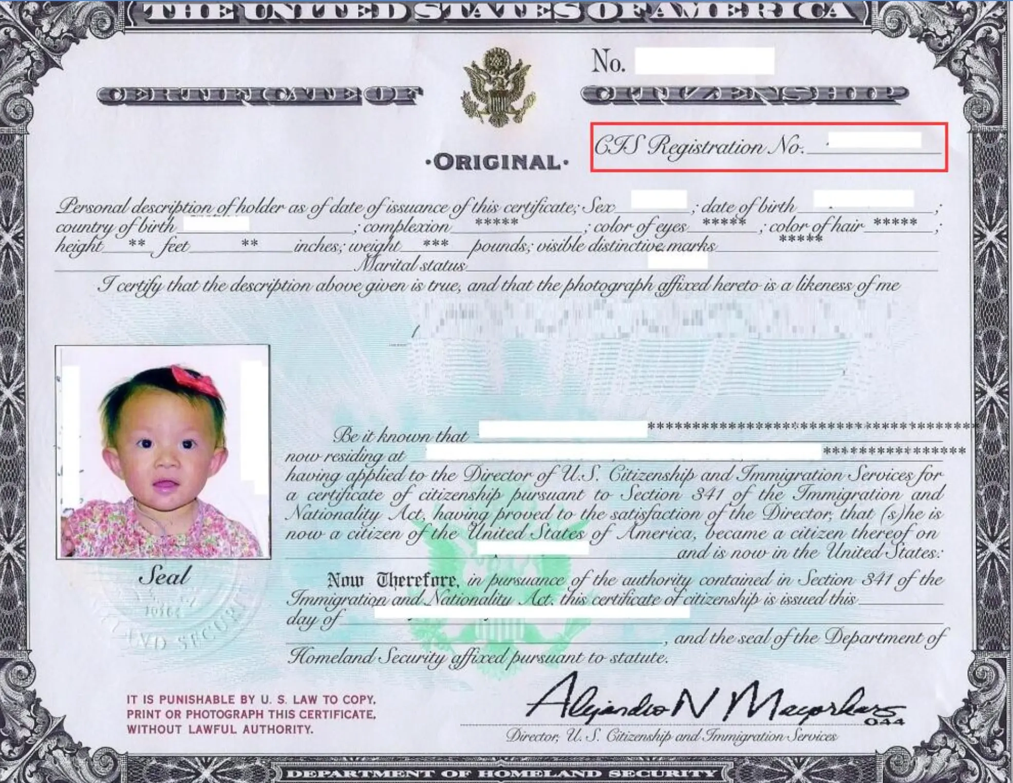 Certificate Of Citizenship N 600 US Immigration Services