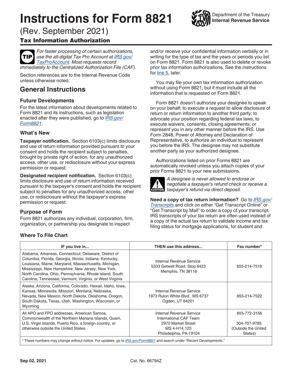 Irs Form 8821 Printable Pdf Instructions