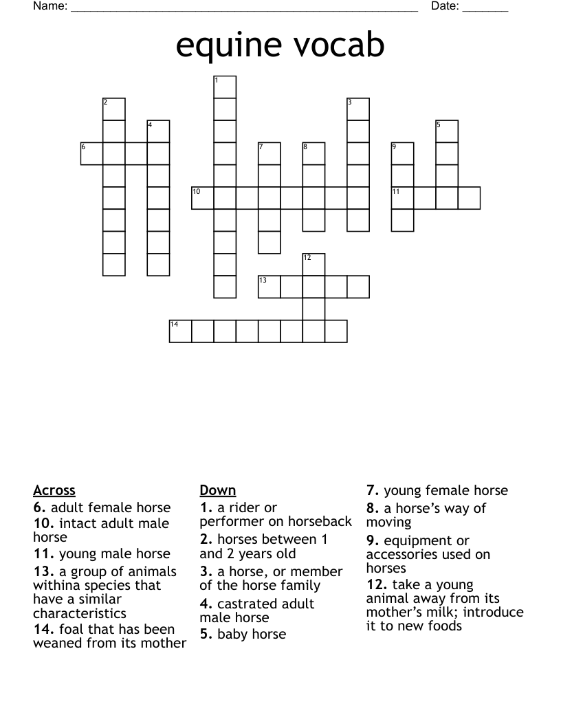 Horse Crossword Puzzles Free Printable