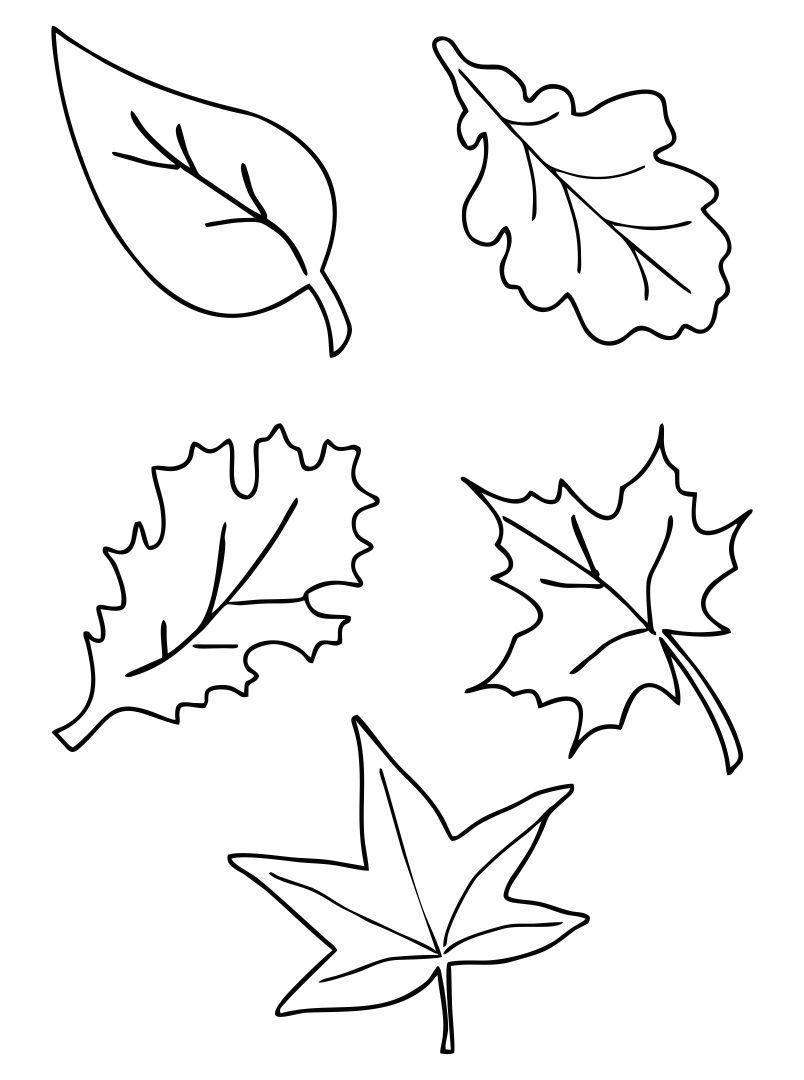 Autumn Leaf Template Printable
