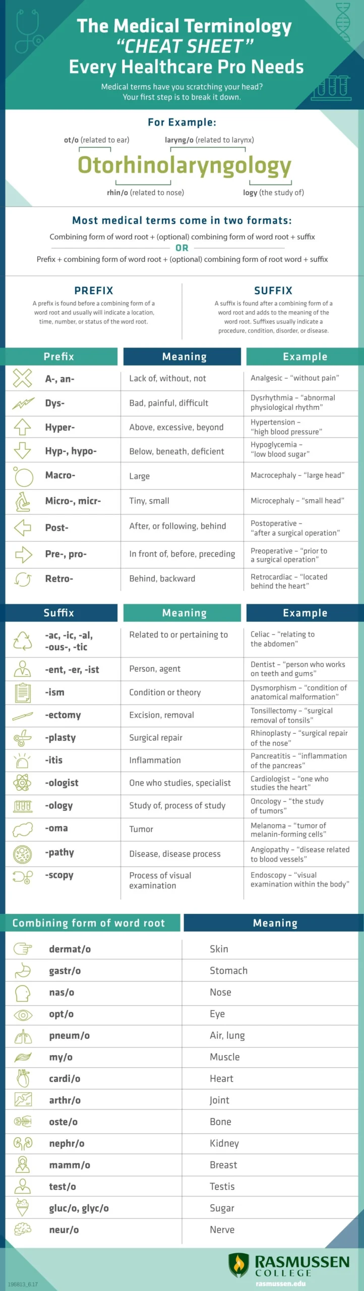 Flashcards Pdf Medical Terminology List Printable Pdf Medical 
