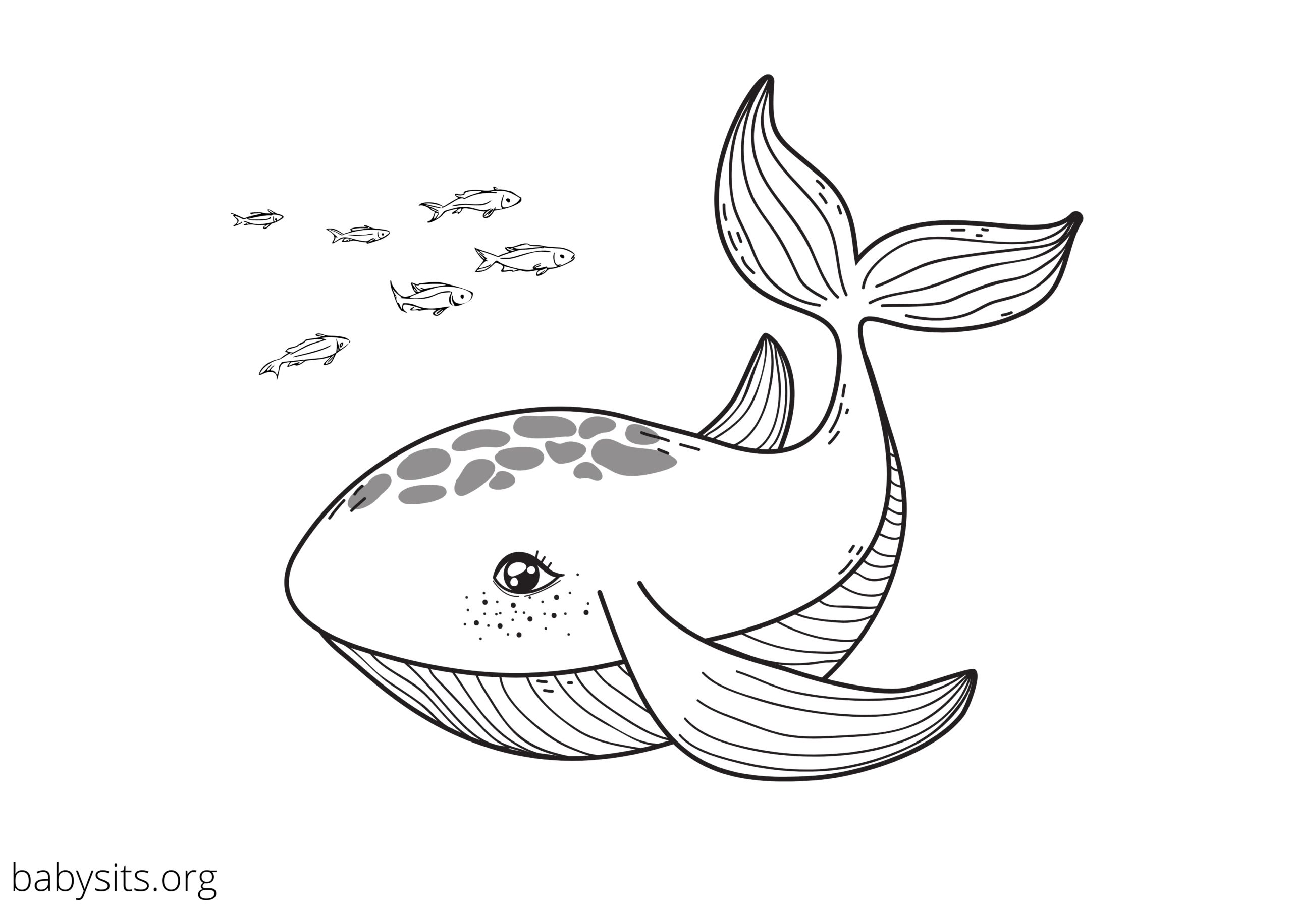 Coloring Pages Printable Sea Animals