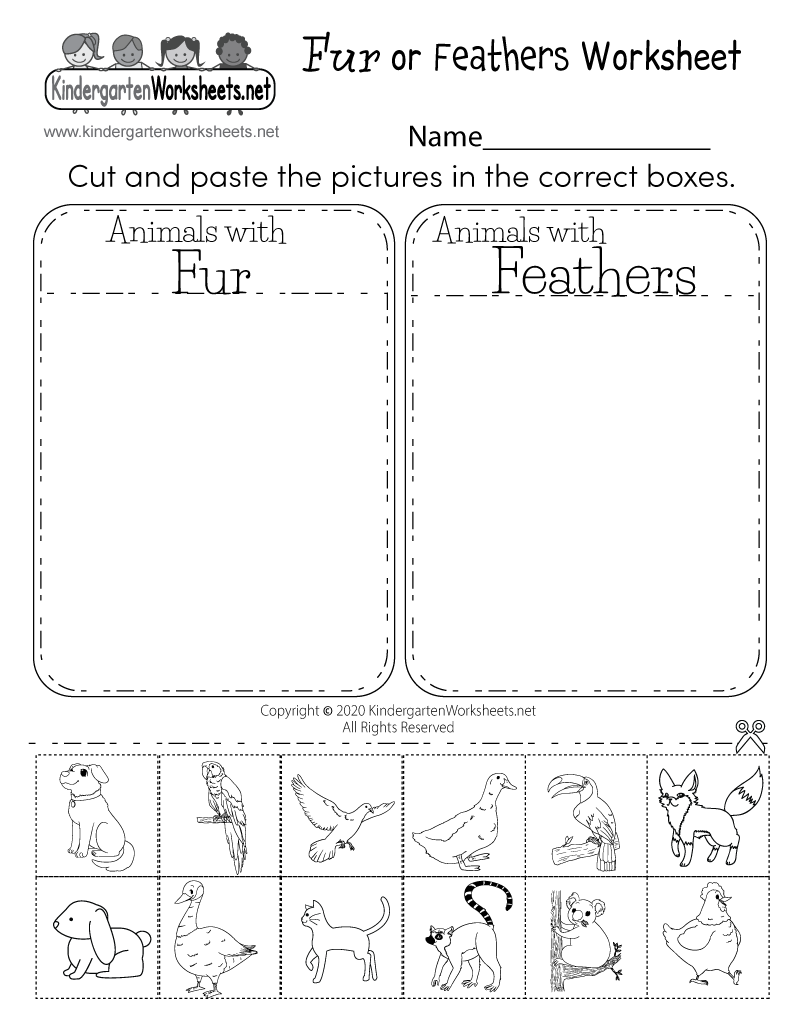 Kindergarten Science Worksheet Free Printable