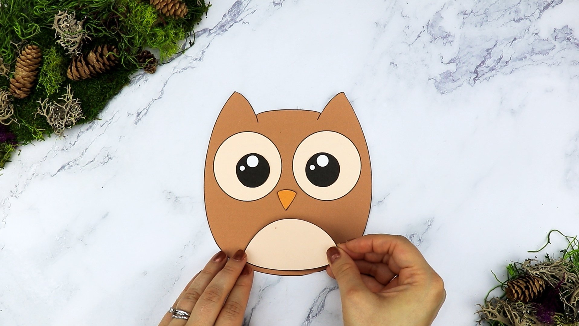 Free Printable Owl Template