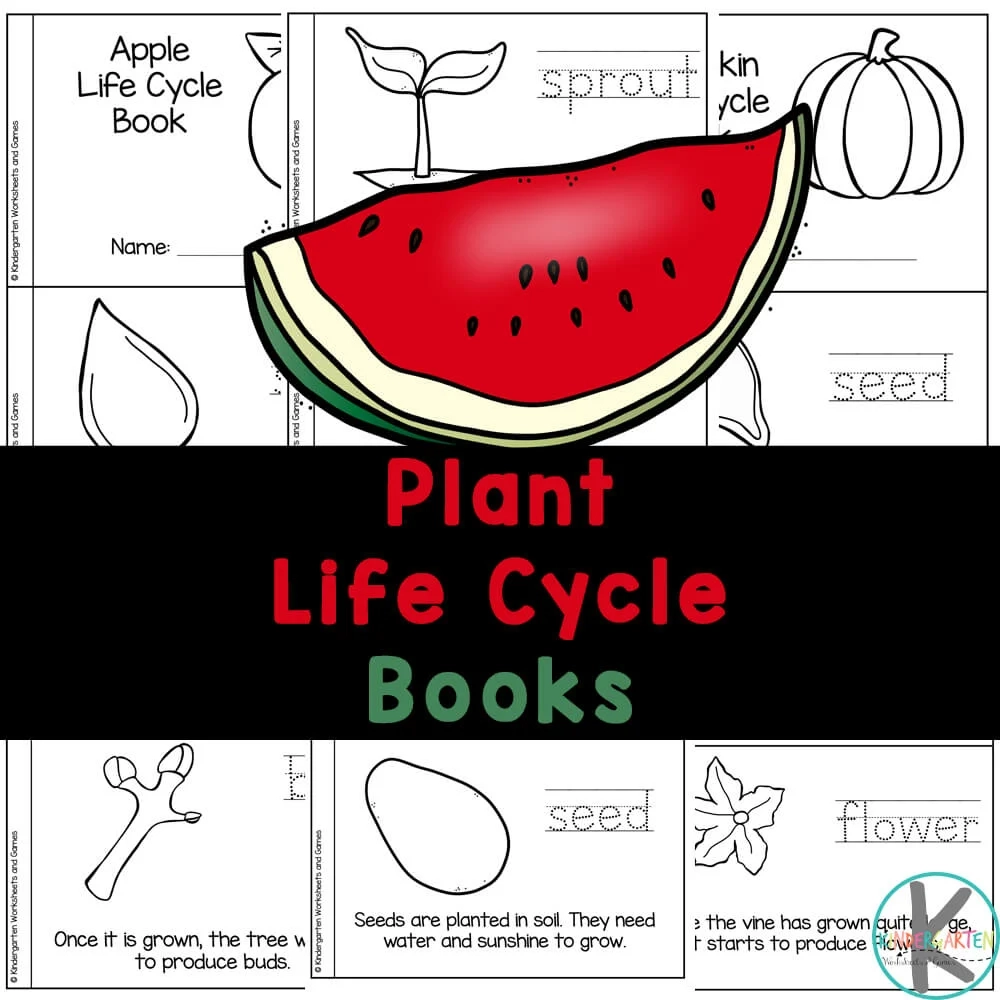  FREE Printable Plant Life Cycle For Kids Reader