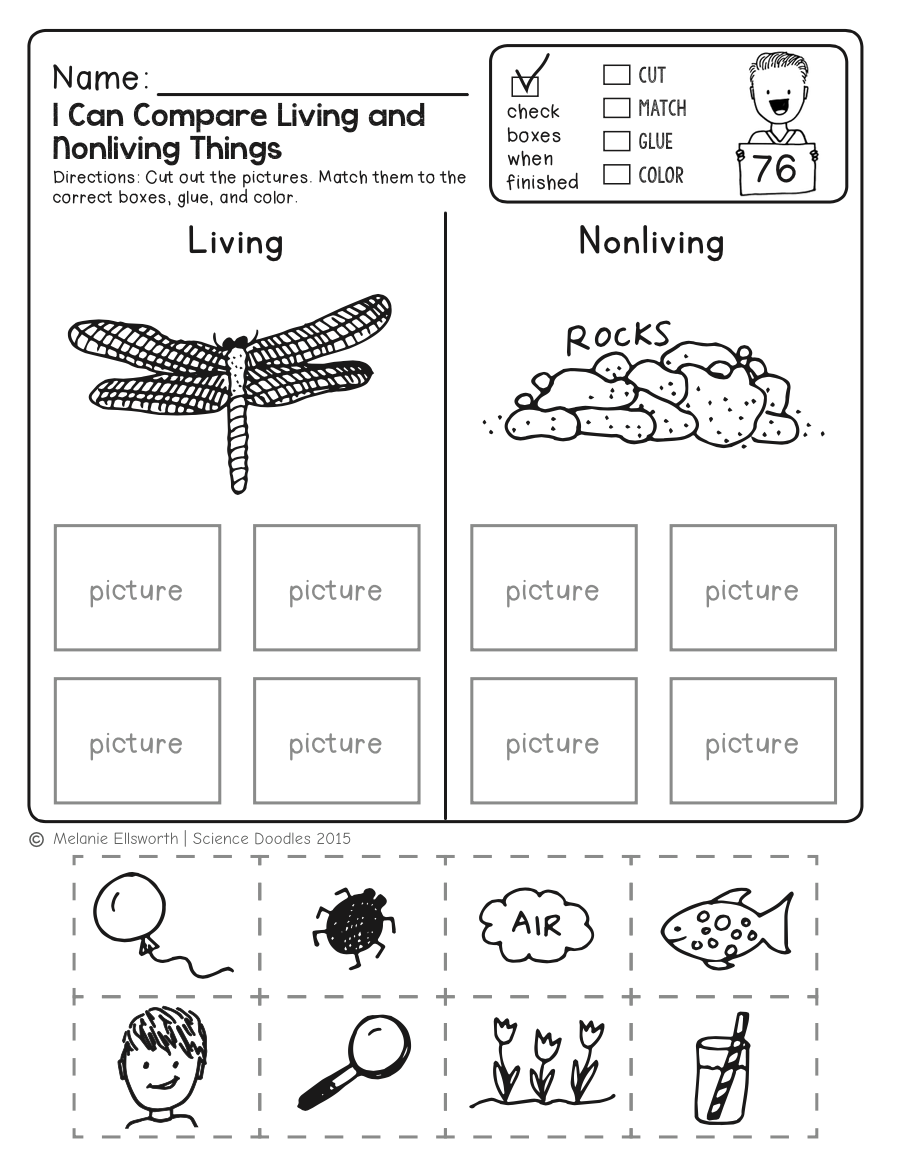 Science Worksheets Printable Free