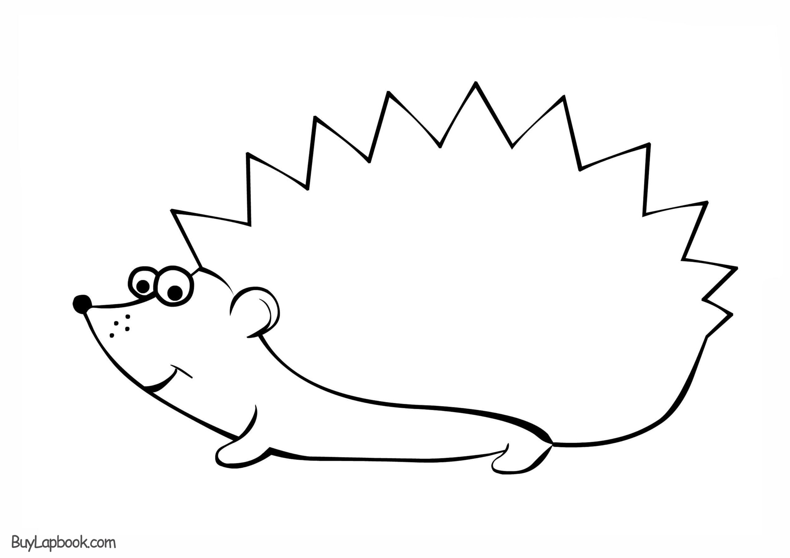 Hedgehog Template For Preschool BuyLapbook