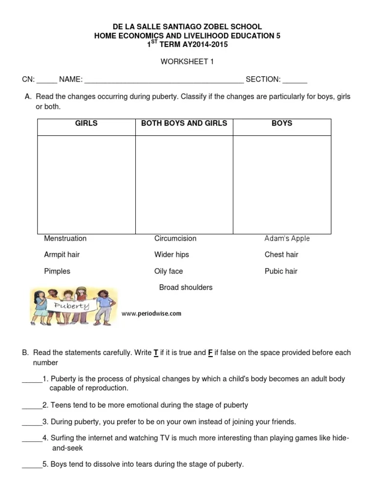 Free Printable Puberty Activity Worksheets