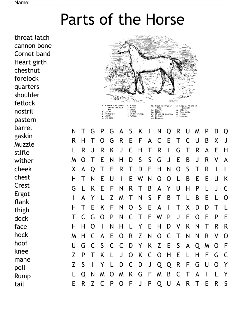 Horse Crossword Puzzles Printable