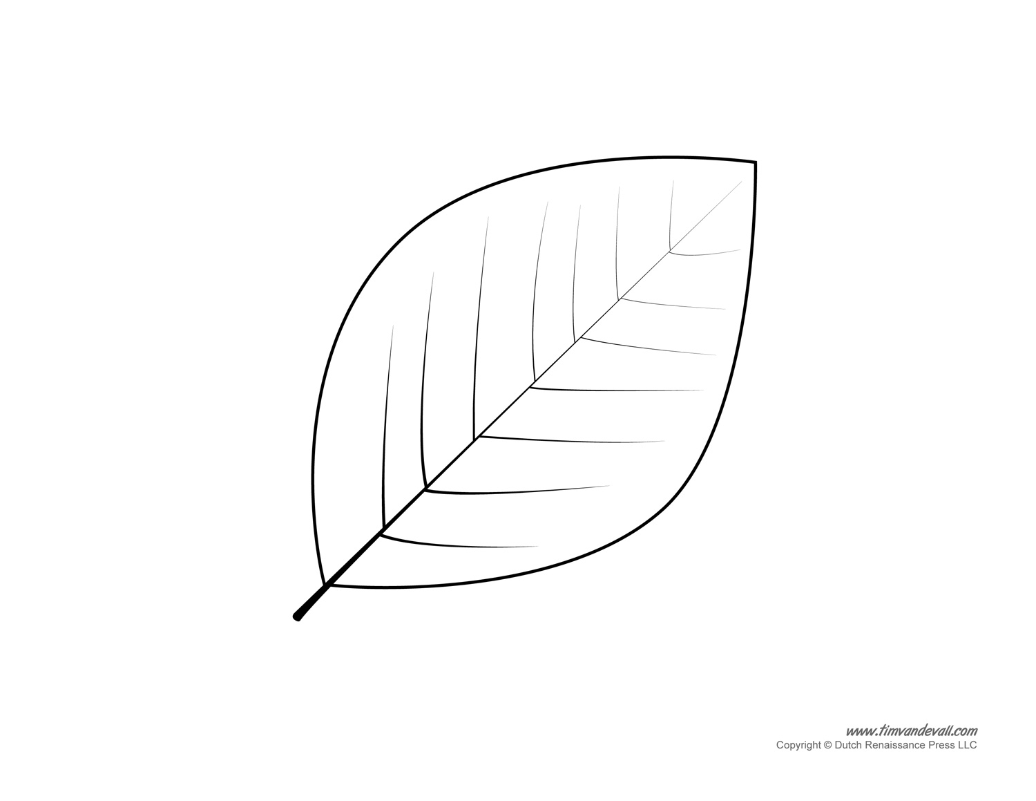 Leaf Printable Template