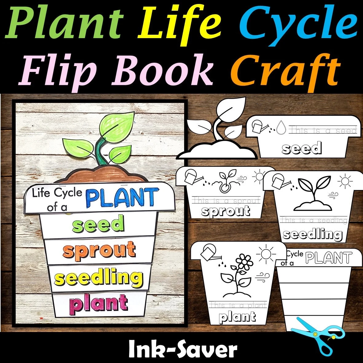 Life Cycle Of A Butterfly Frog amp Plant Flip Book Craft Printable 