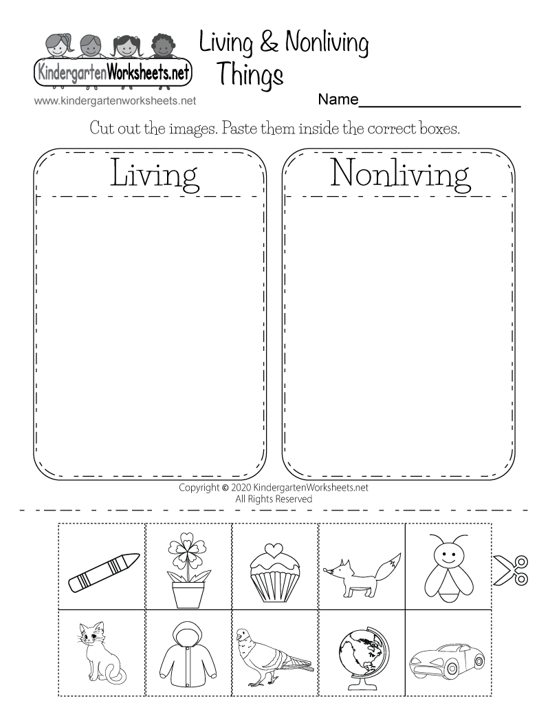 Science Worksheets Printable Pdf