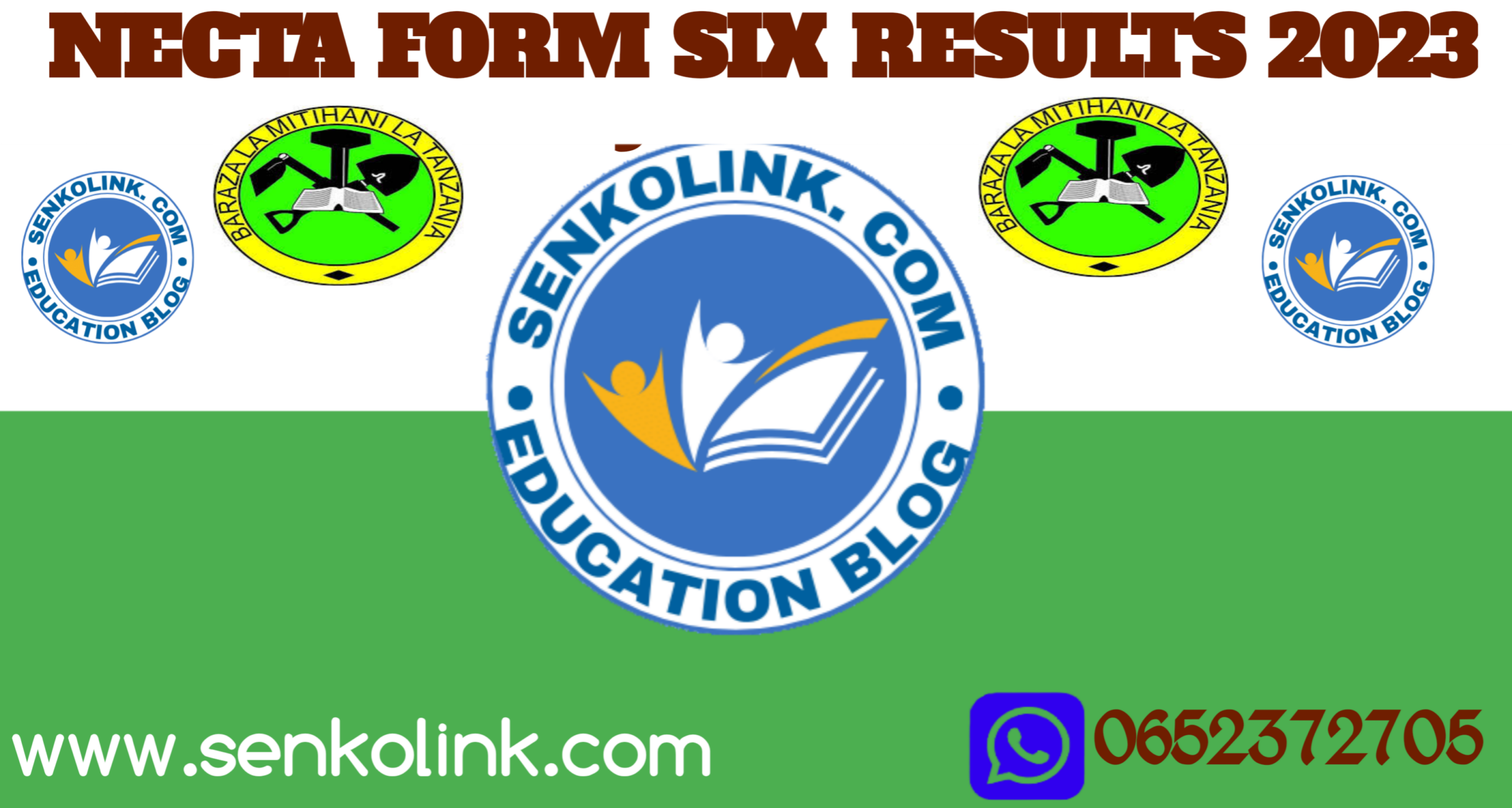 NECTA ACSEE Results 2023 Form Six Results 2023 Senkolink ac tz