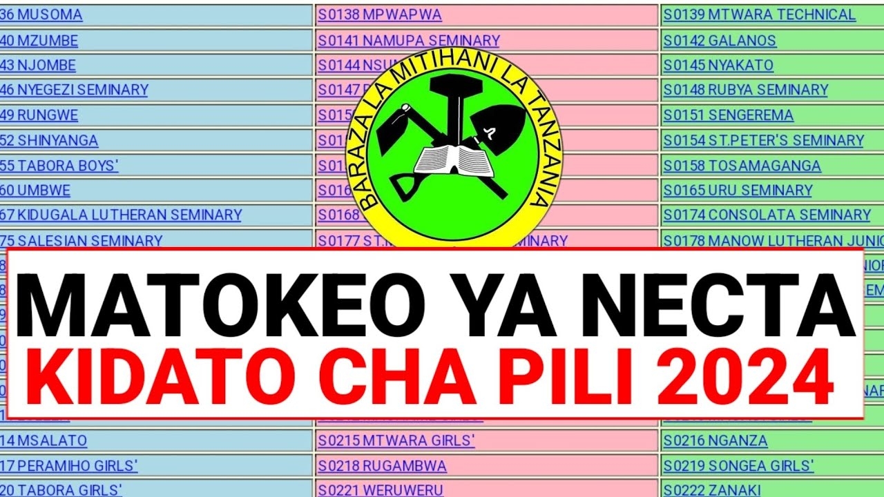 NECTA MATOKEO YA KIDATO CHA PILI 2024 2025 FORM TWO RESULTS