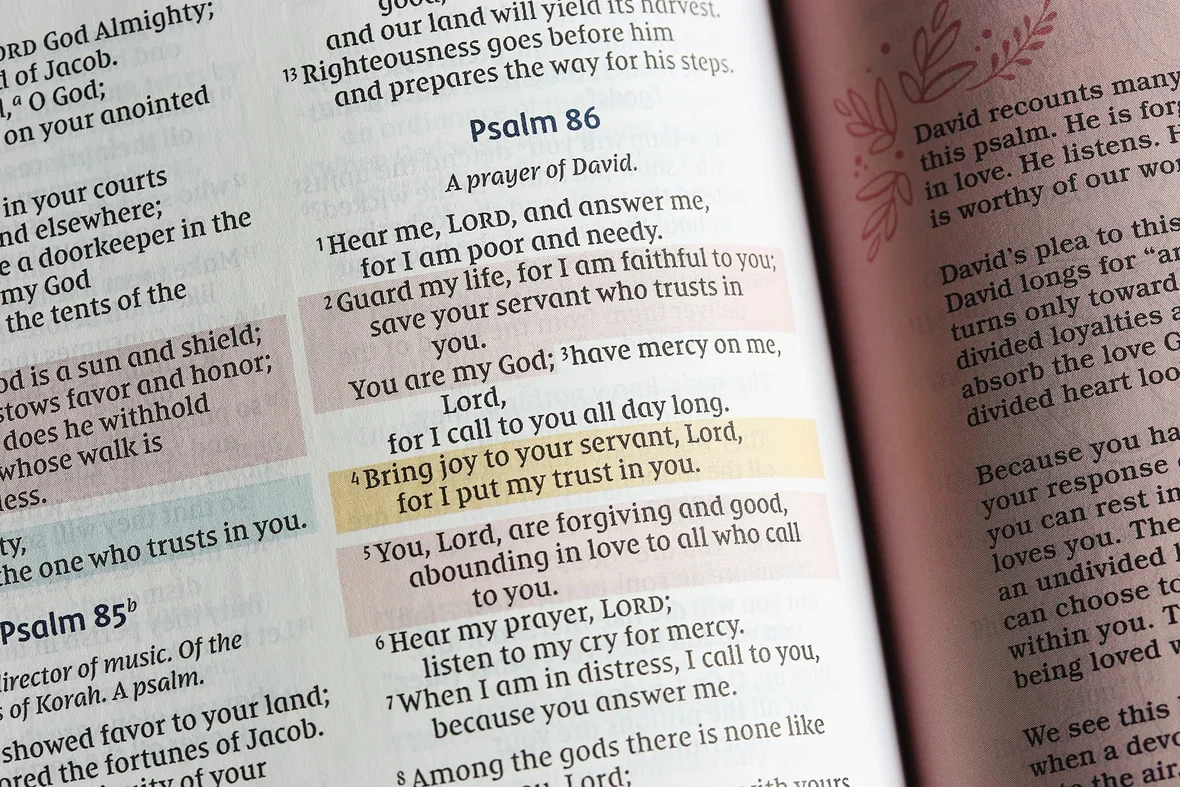 Printable Niv Bible Text
