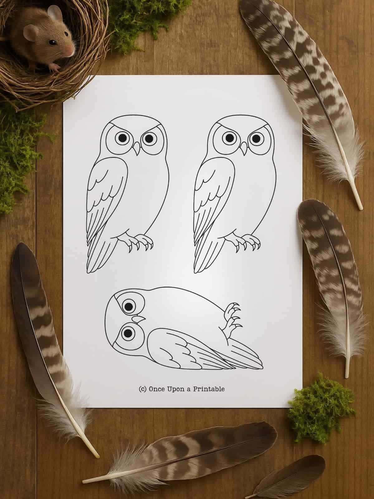 Free Owl Printable Template
