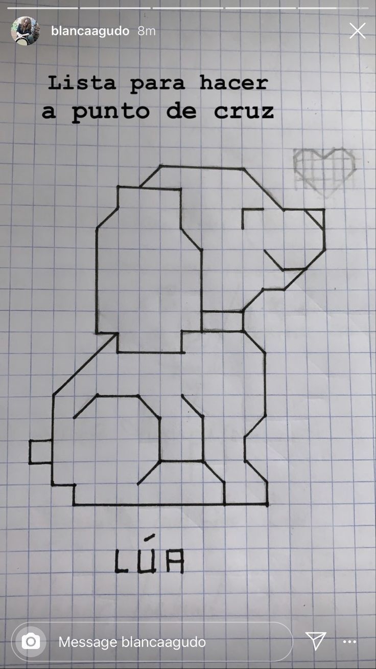 Drawing On Graph Paper With Coordinates