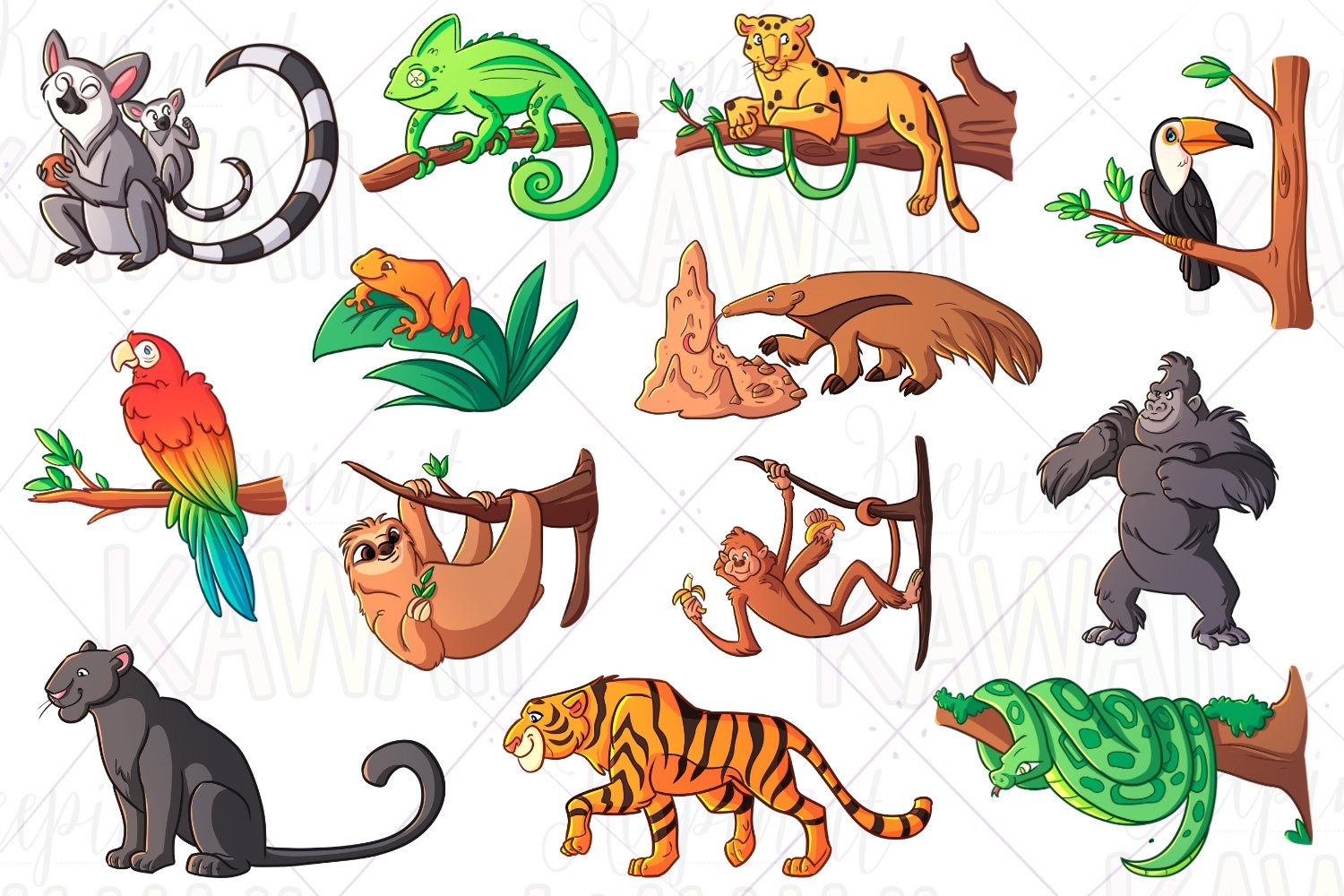 Rainforest Animals Clip Art