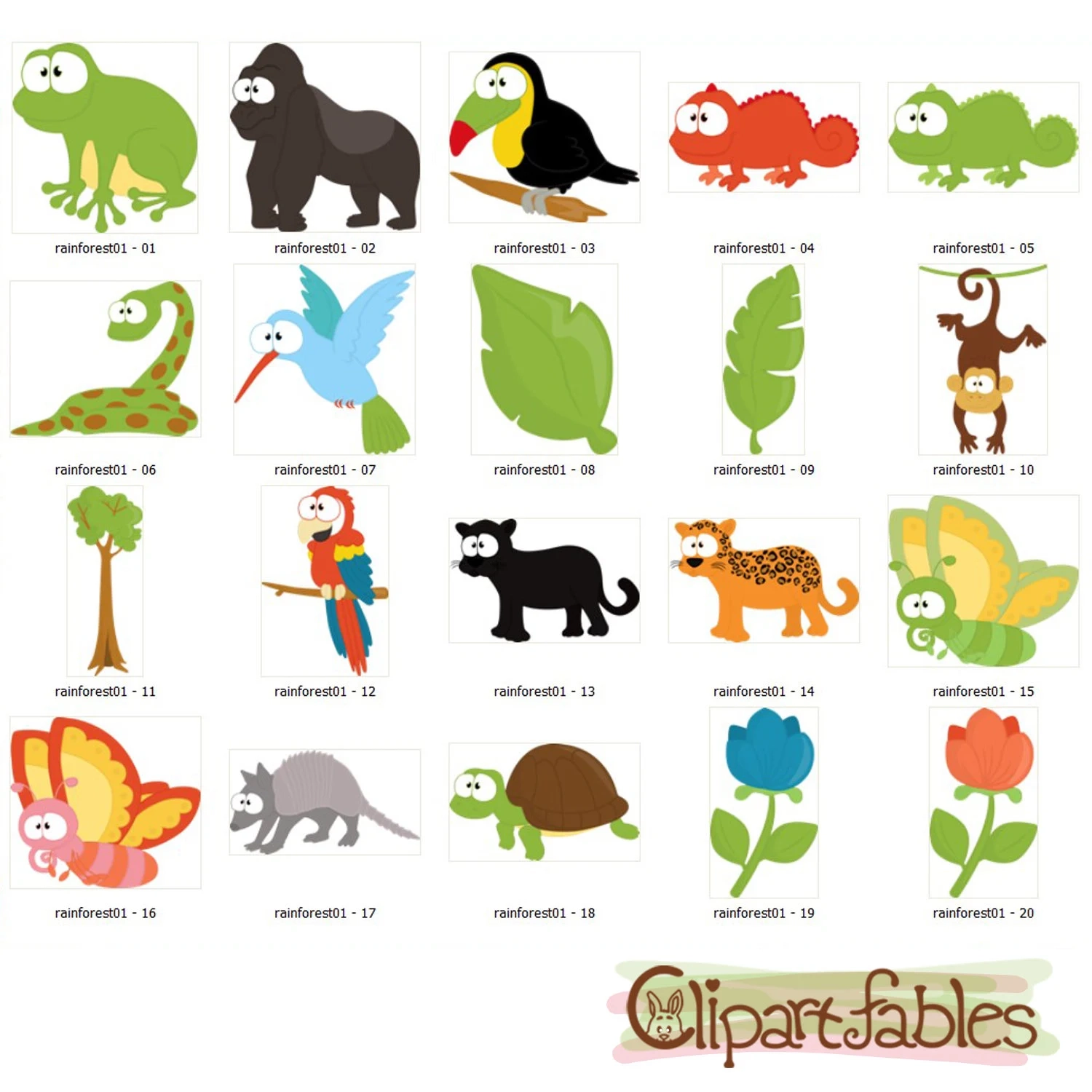 Animals Of The Rainforest Printables