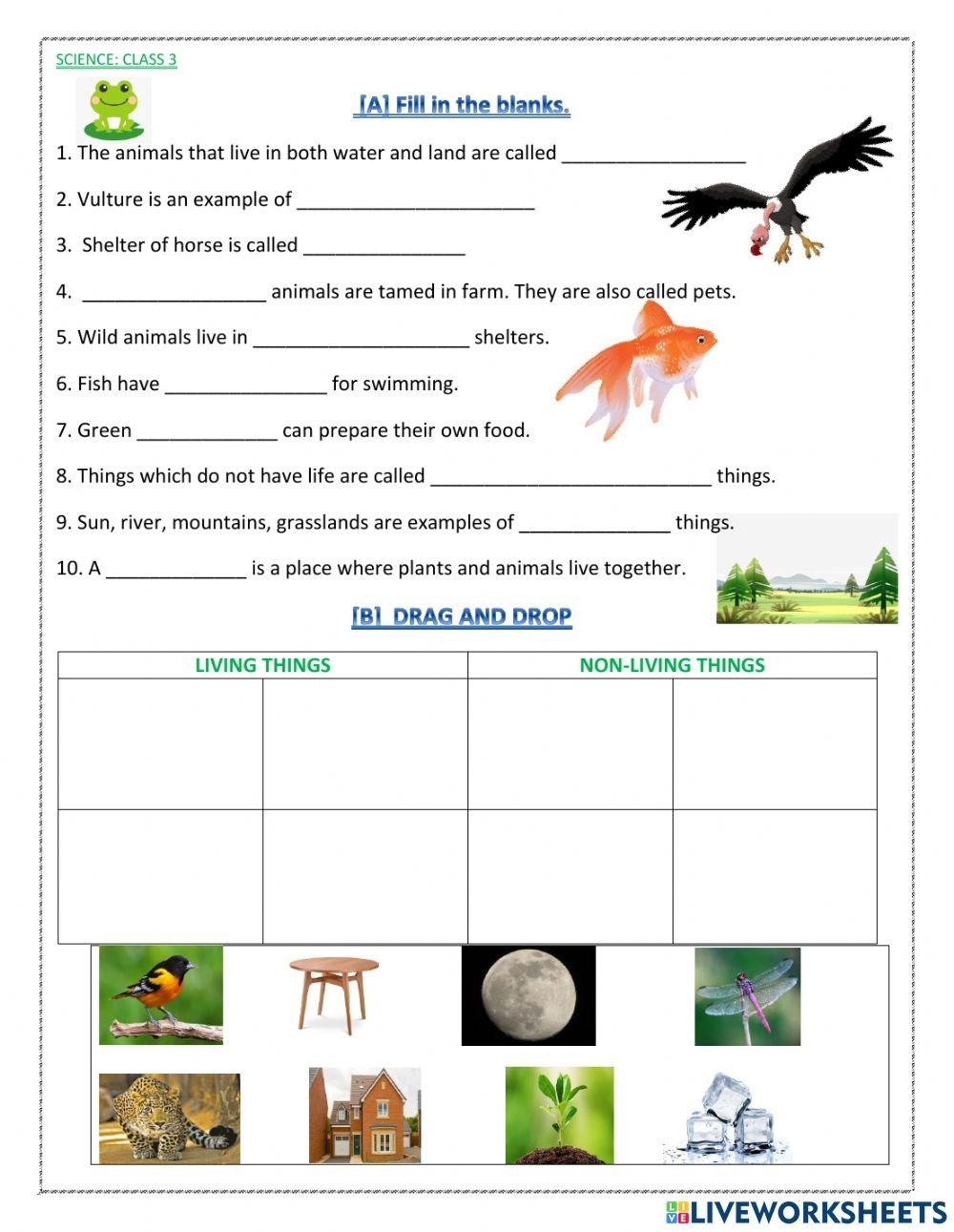 Science Class Free Interactive Worksheets 1218125