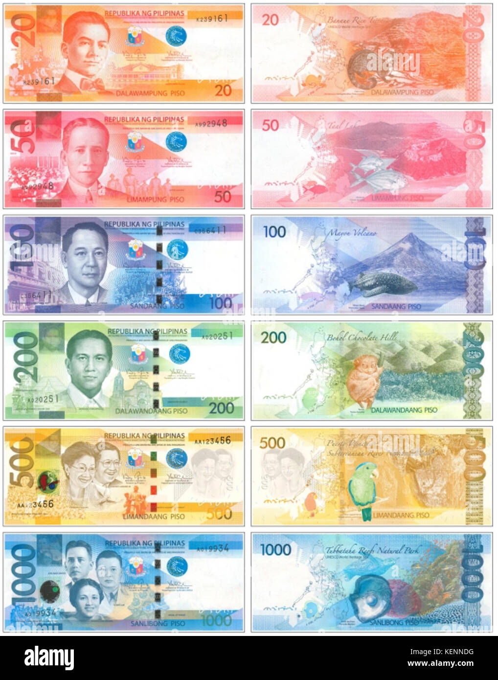 Printable Paper Philippine Money