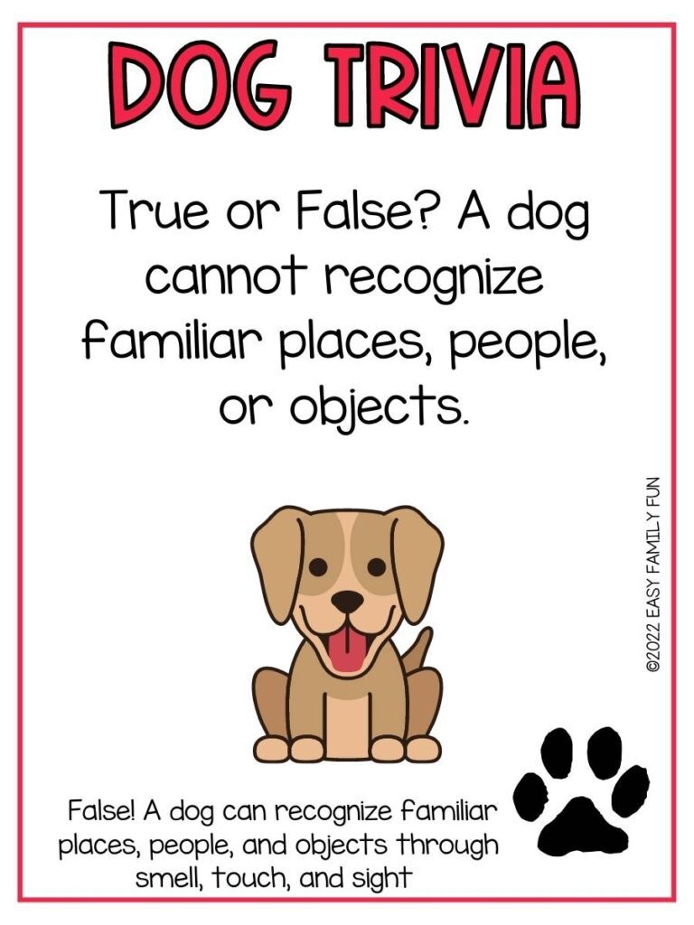 Free Printable Dog Breed Quiz