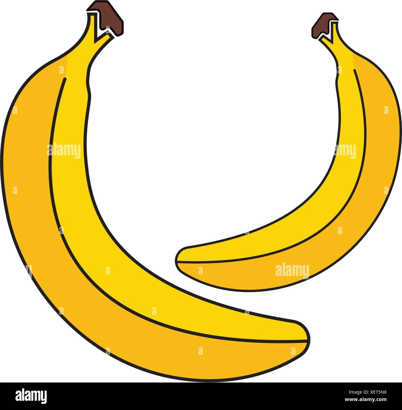 banana fruits vector template stock vector image amp art alamy